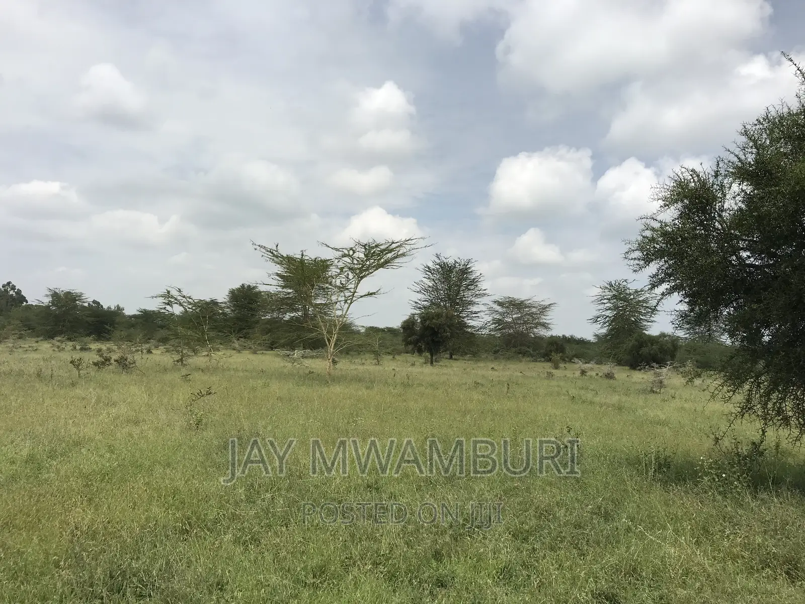 40 Acres Kenani in Lukenya