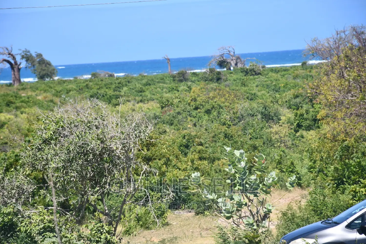 Malindi Phase 3 - Exclusive Property on Casuarina Road in Town Centre