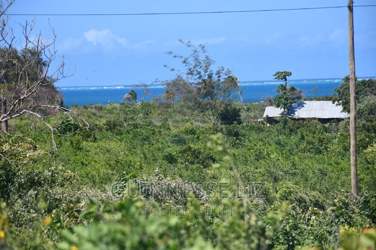 Malindi Phase 3 - Exclusive Property on Casuarina Road in Town Centre