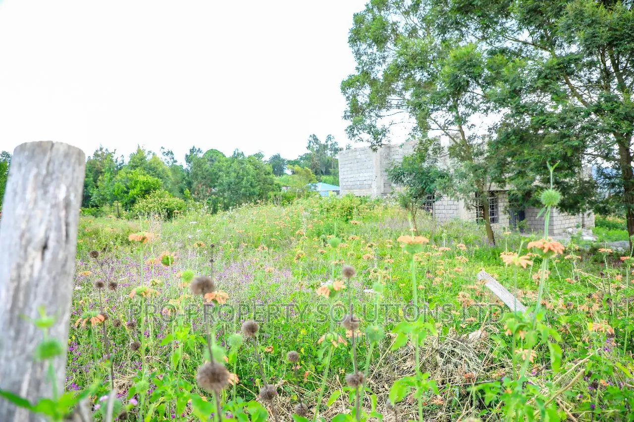 Residential Land Sale in Kikuyu, Kamangu: Prime Location in Kikuyu