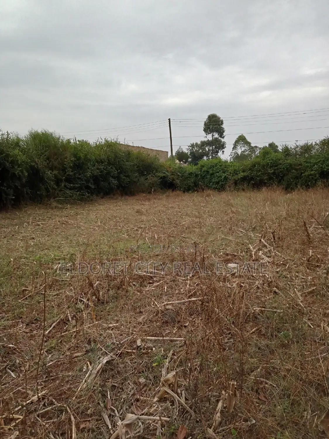1/8 Plots Kapsoya Estate With Title in Kapsuswa