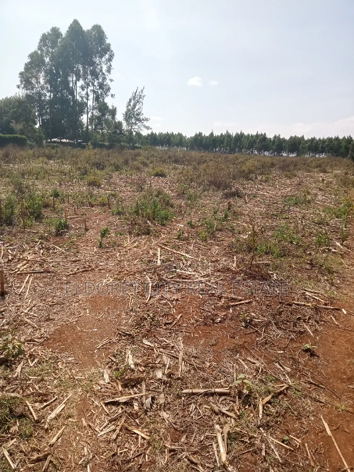 3 Acres Kaboi With Title Kiplombe Route in Kapsuswa