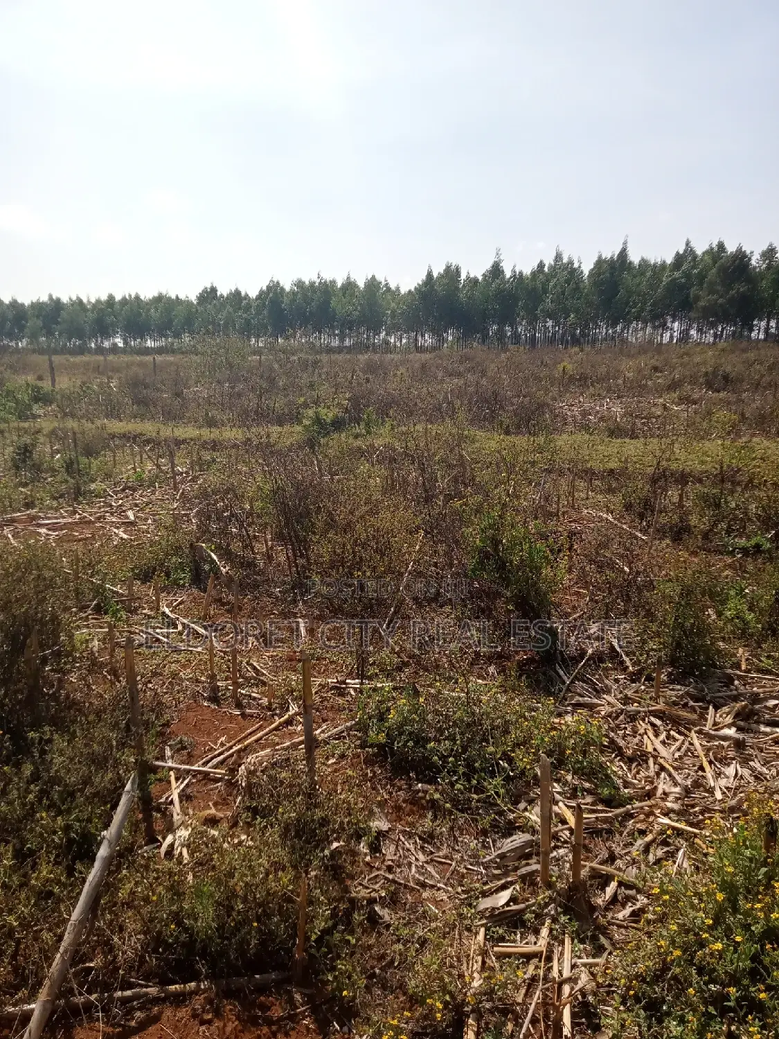 3 Acres Kaboi With Title Kiplombe Route in Kapsuswa