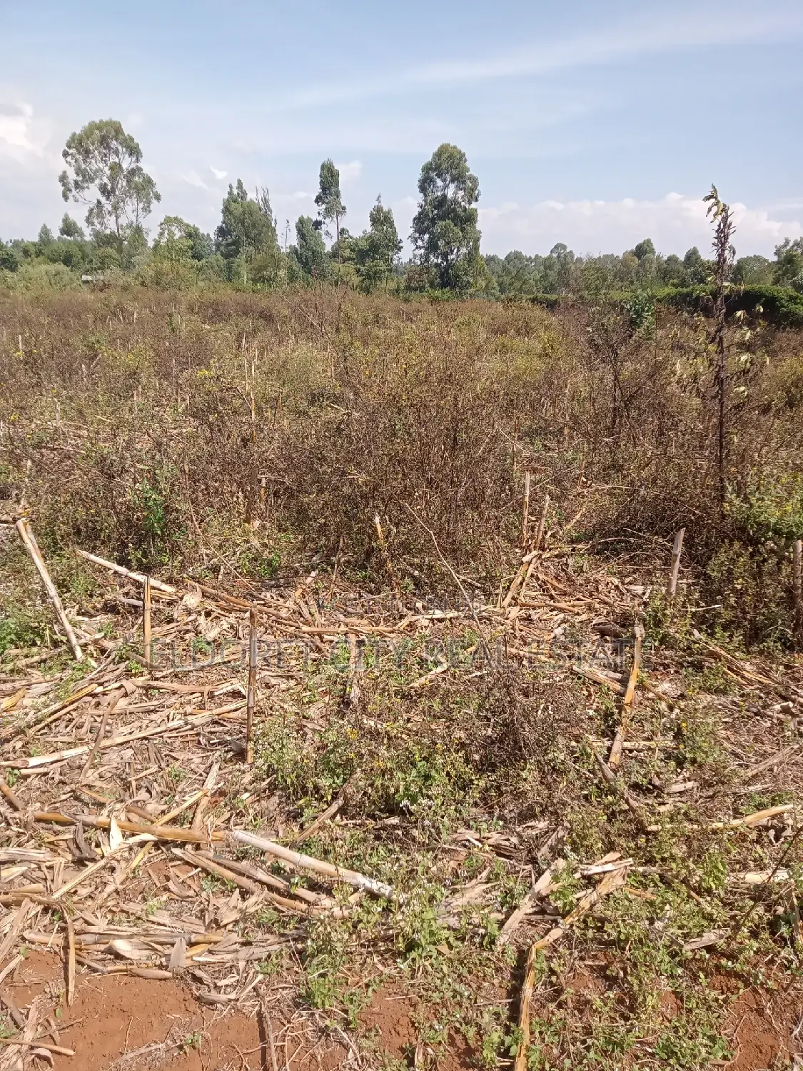 3 Acres Kaboi With Title Kiplombe Route in Kapsuswa