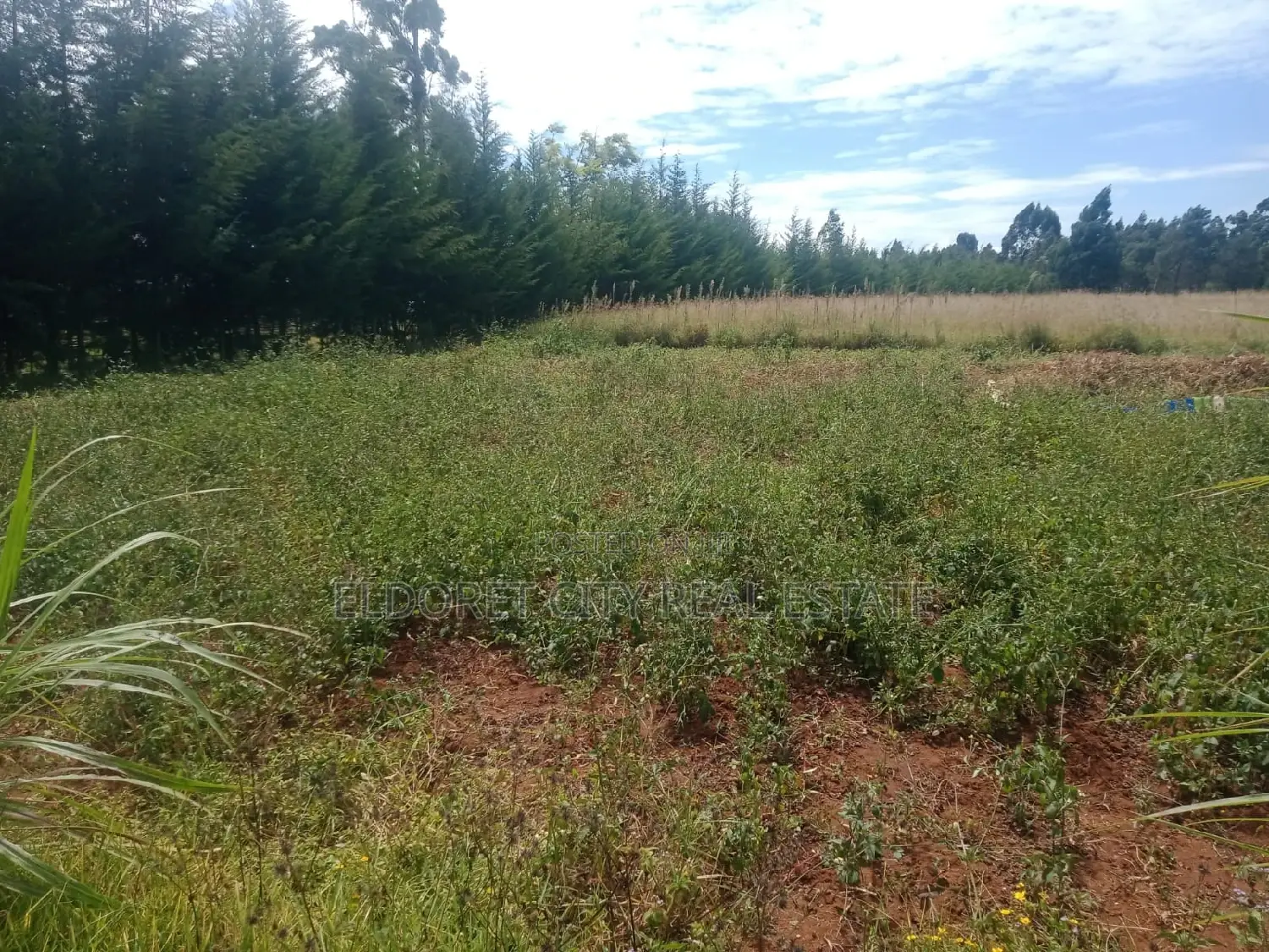 10 Acres Ngeria Route Prison With Title in Kapsuswa