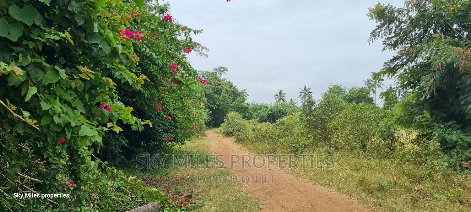 Affordable Plots in Mtwapa: Coca-Cola Development Opportunity in Mtwapa