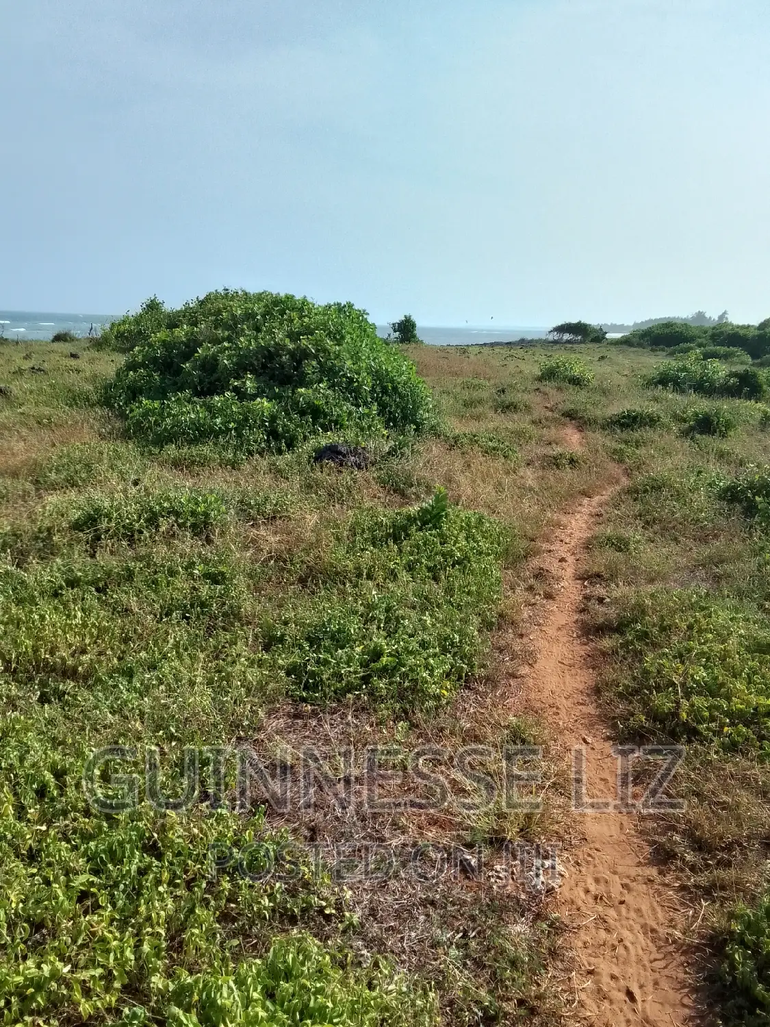 Kilifi 53-Acre Property - 1st Row, Competitive Price Per Acre in Sokoni