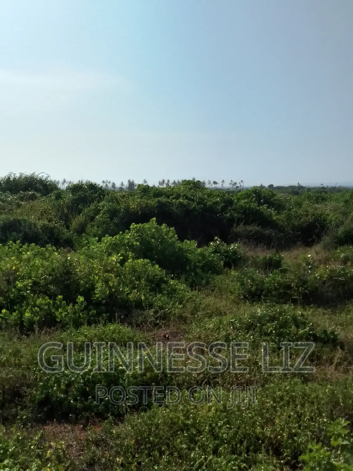Kilifi 53-Acre Property - 1st Row, Competitive Price Per Acre in Sokoni