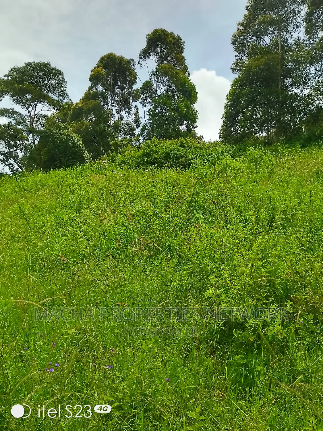 Mua -Kaloleni 2 Acres Half Quick Sale 2.9M Per Acre in Mua