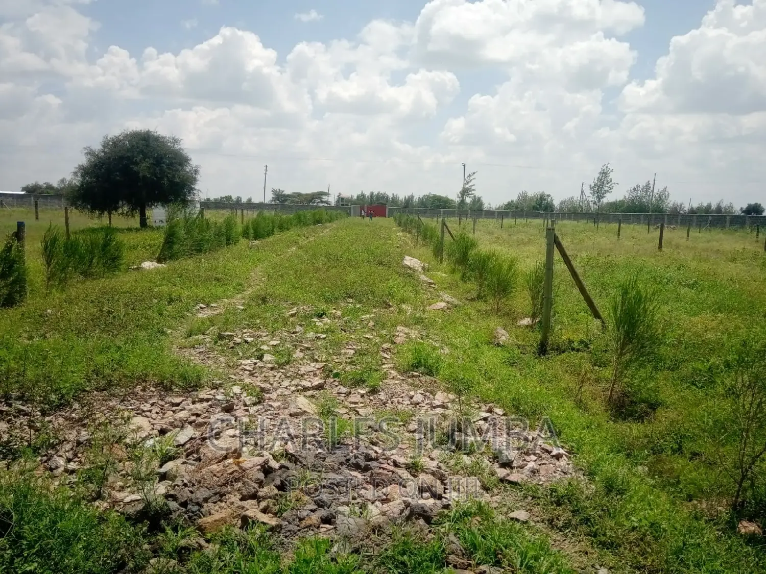 Enkacity: Affordable Land for Your Dream Future in Kitengela