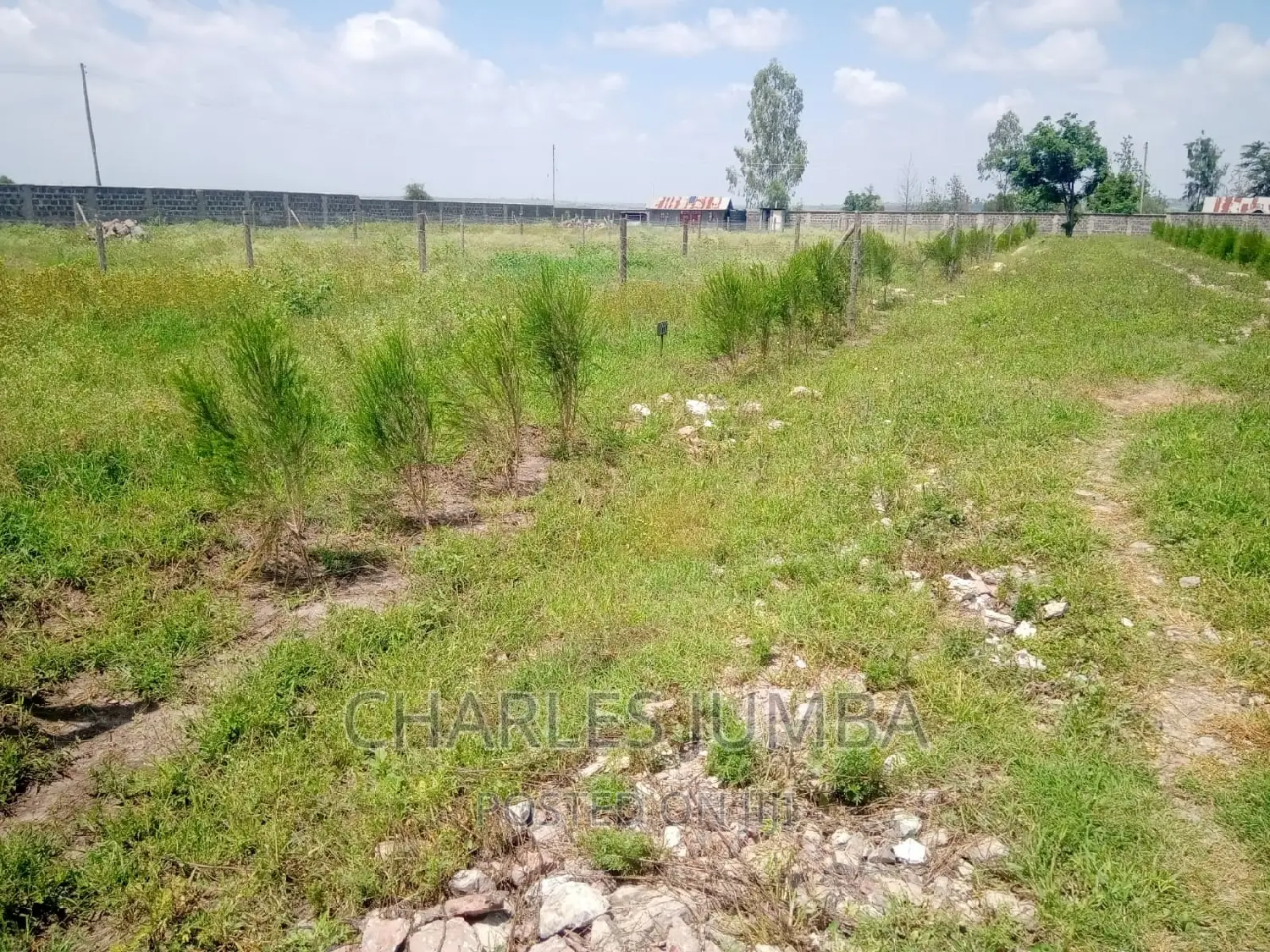 Enkacity: Affordable Land for Your Dream Future in Kitengela