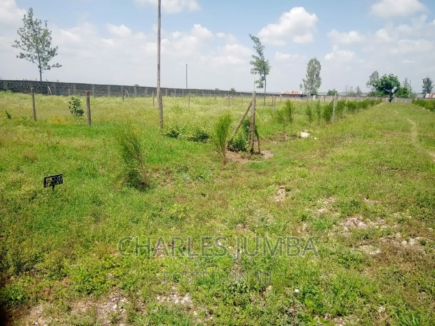 Enkacity: Affordable Land for Your Dream Future in Kitengela