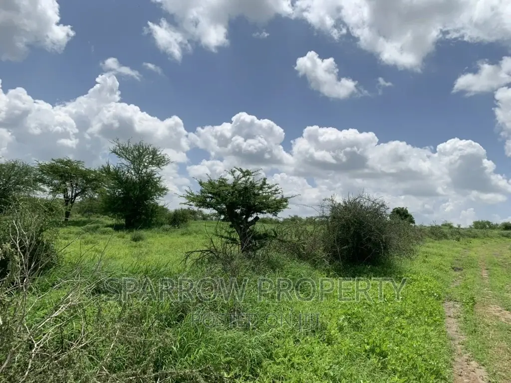 Kajiado Prime Land for Sale in DalaleKutuk