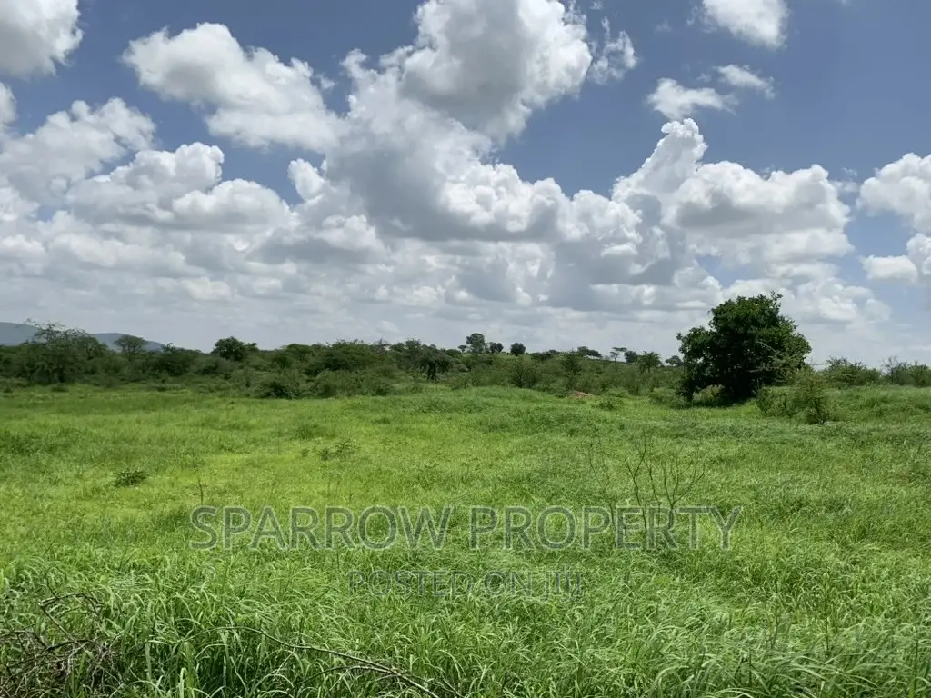 Kajiado Prime Land for Sale in DalaleKutuk