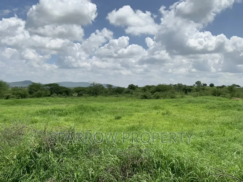 Kajiado Prime Land for Sale in DalaleKutuk