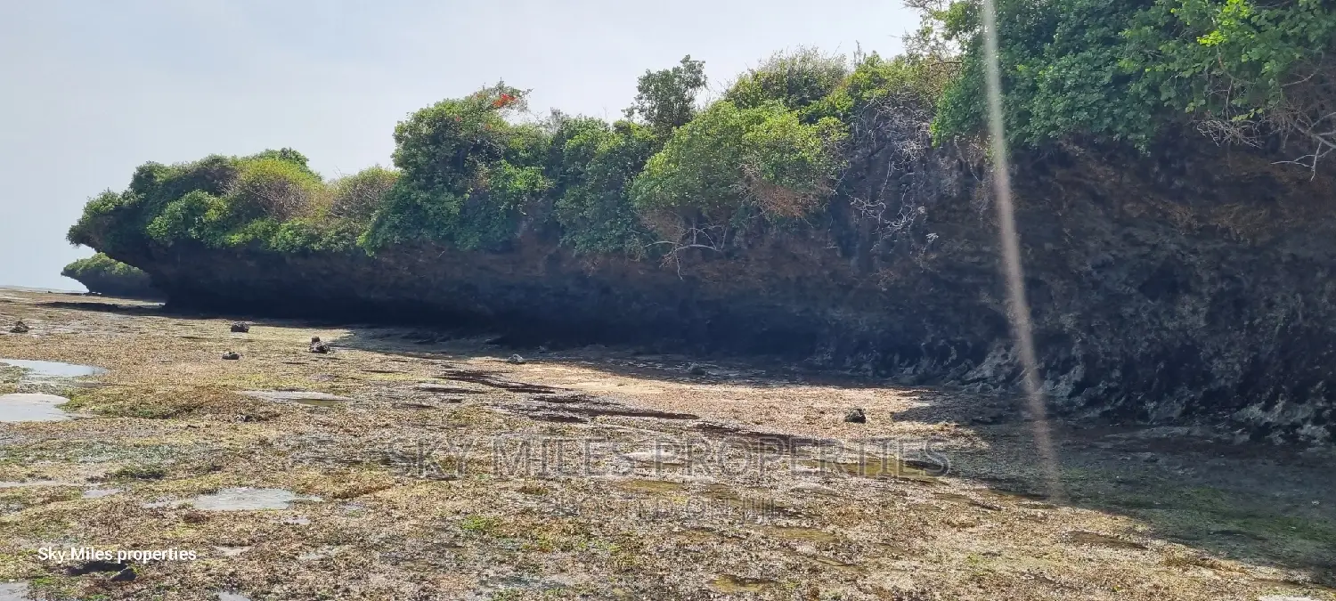 Beachfront Living: 4.4 Acre Property for Sale in Kuruwitu Vipingo in Vipingo