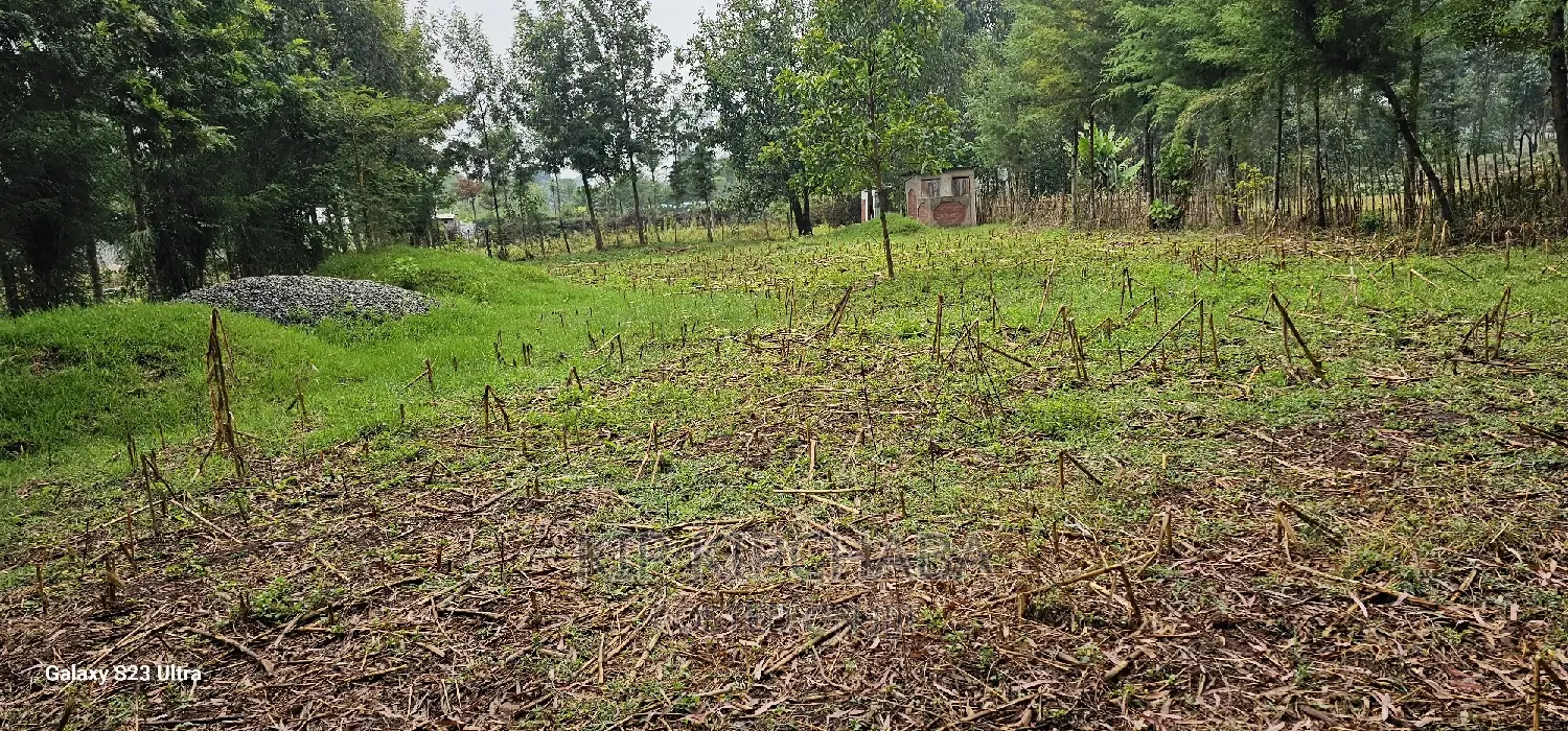 1⁄4 Acre Plot for Sale in Eldoret's Greenwood, Cheplasgei Bypass Location in Racecourse