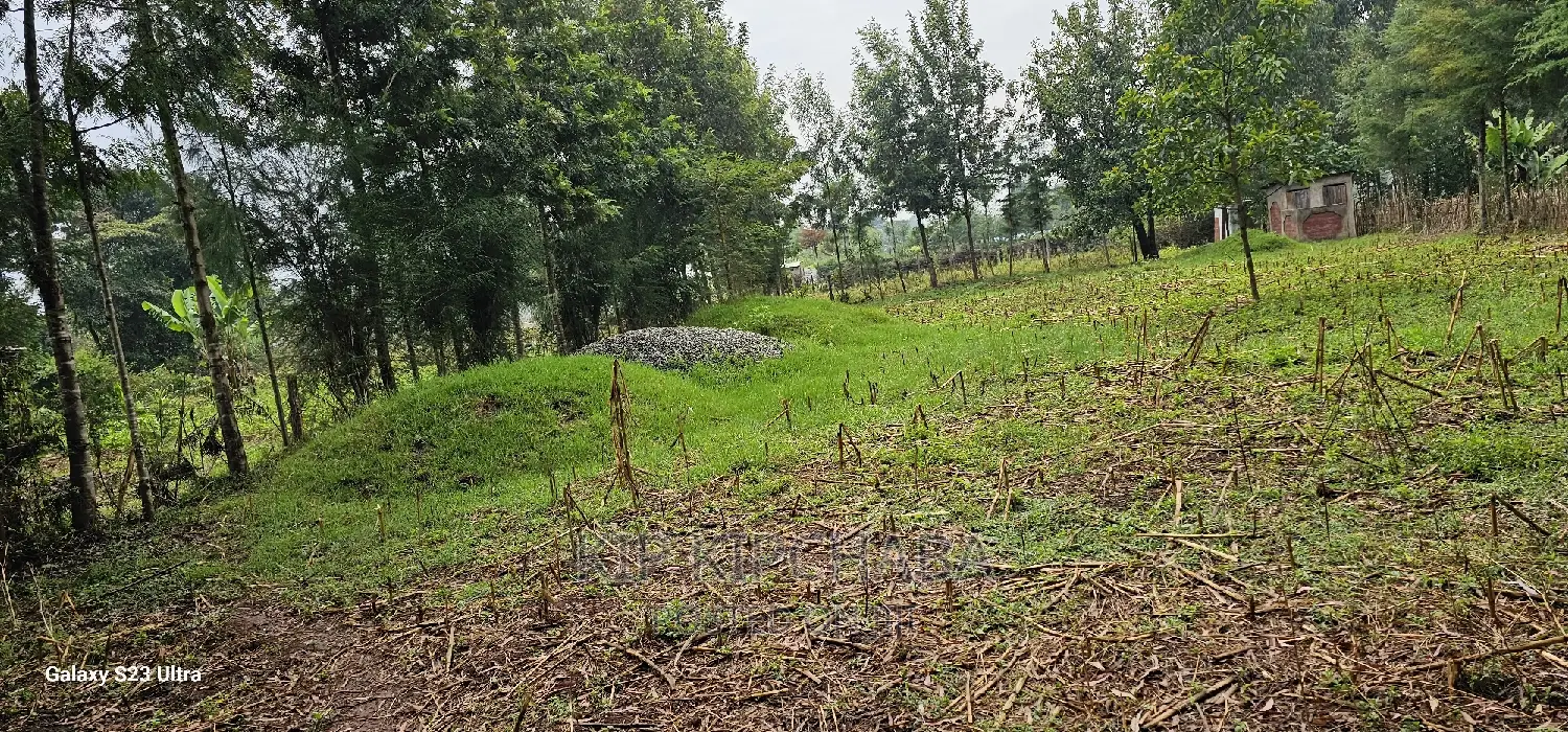 1⁄4 Acre Plot for Sale in Eldoret's Greenwood, Cheplasgei Bypass Location in Racecourse