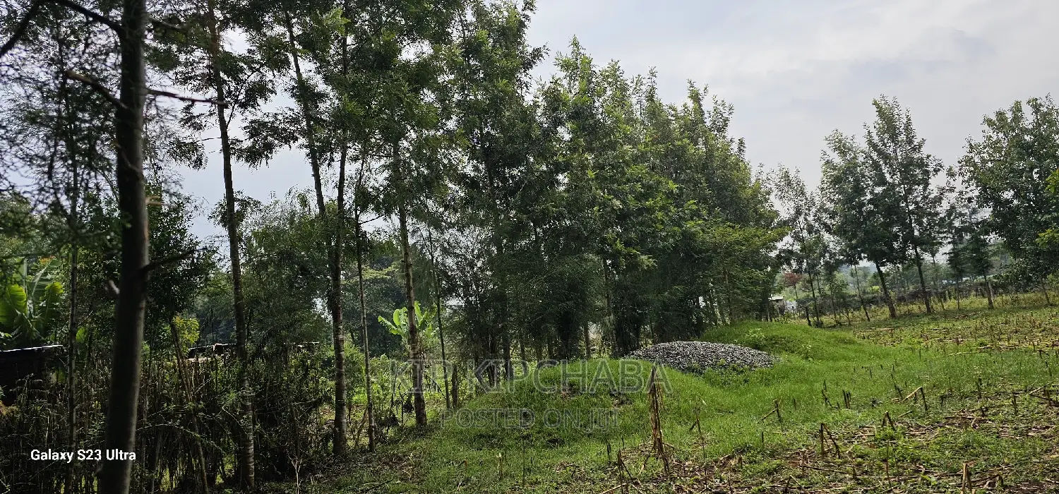 1⁄4 Acre Plot for Sale in Eldoret's Greenwood, Cheplasgei Bypass Location in Racecourse