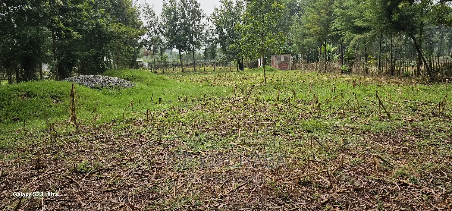 1⁄4 Acre Plot for Sale in Eldoret's Greenwood, Cheplasgei Bypass Location in Racecourse