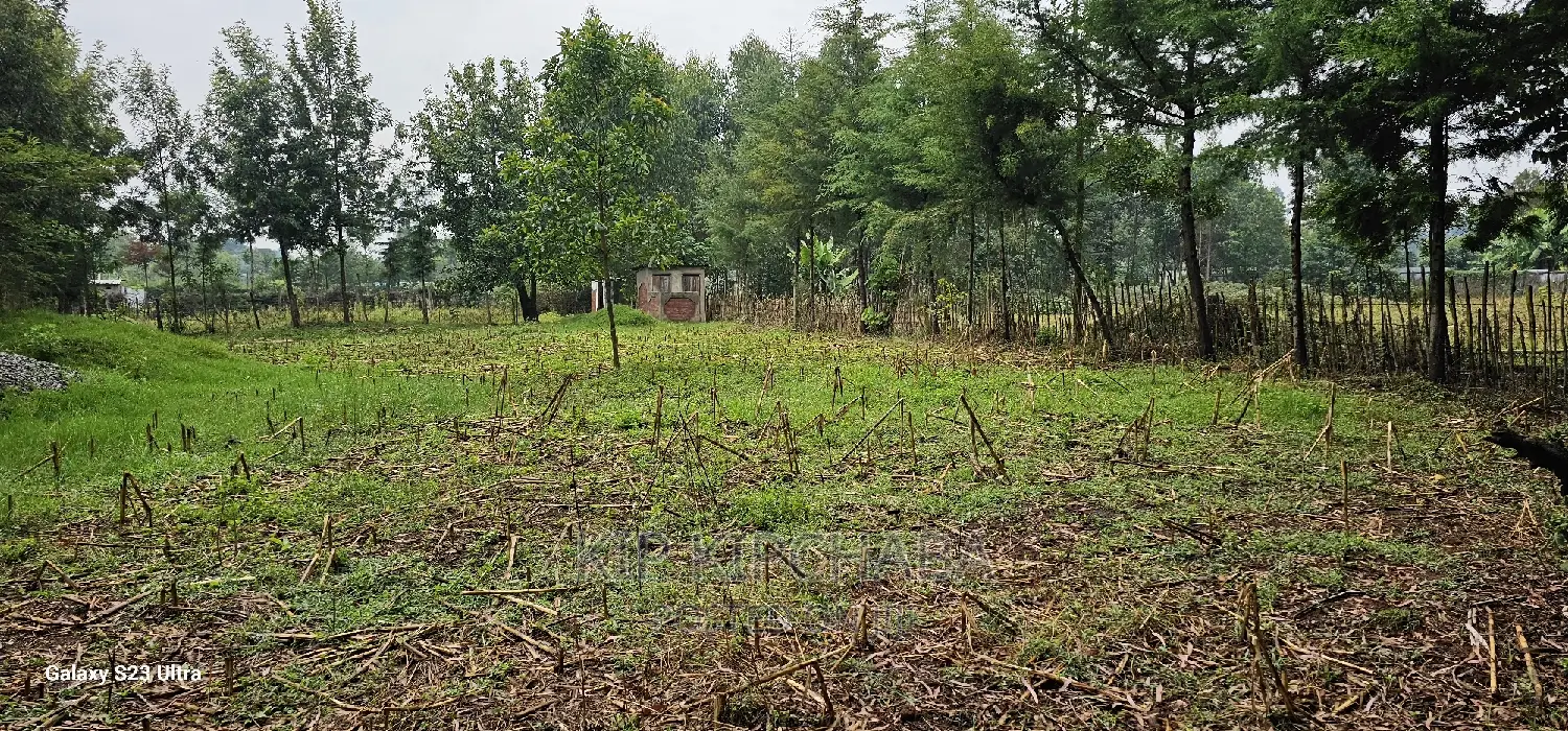 1⁄4 Acre Plot for Sale in Eldoret's Greenwood, Cheplasgei Bypass Location in Racecourse