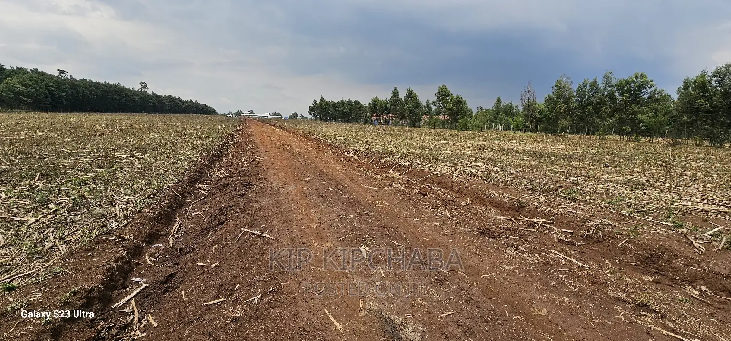 Invest in Prime 1/4 Acre Plots in Annex Eldoret - Limited Time Offer! in Racecourse