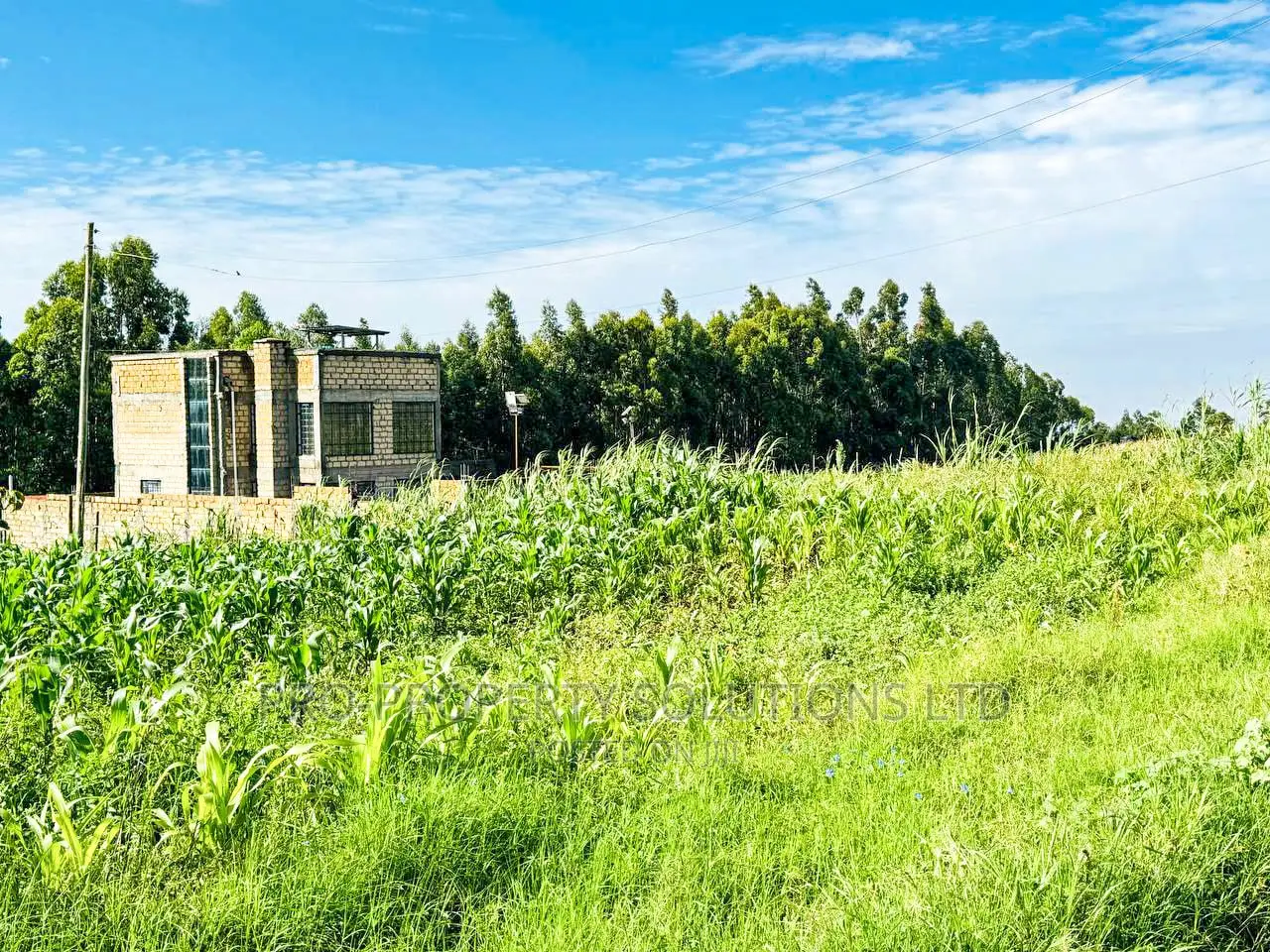 Affordable Residential Plot in Kikuyu, Kamangu in Kikuyu