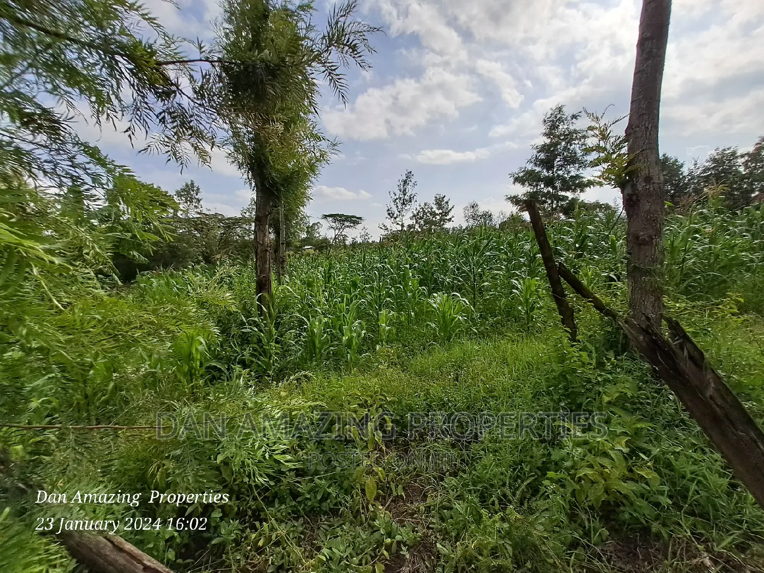 1/4 Acre Land in Kiserian - Affordable and Prime Real Estate Investment in Kiserian