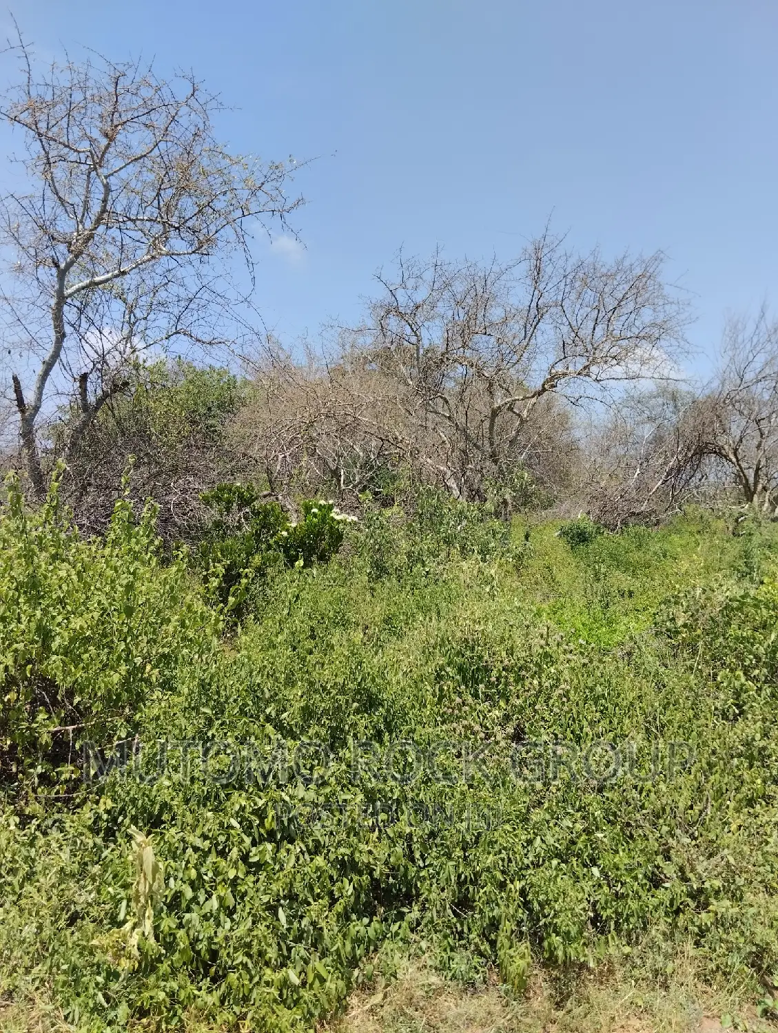 75acres for Sale in Mutomo