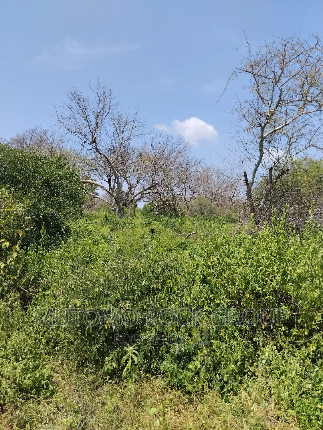 75acres for Sale in Mutomo