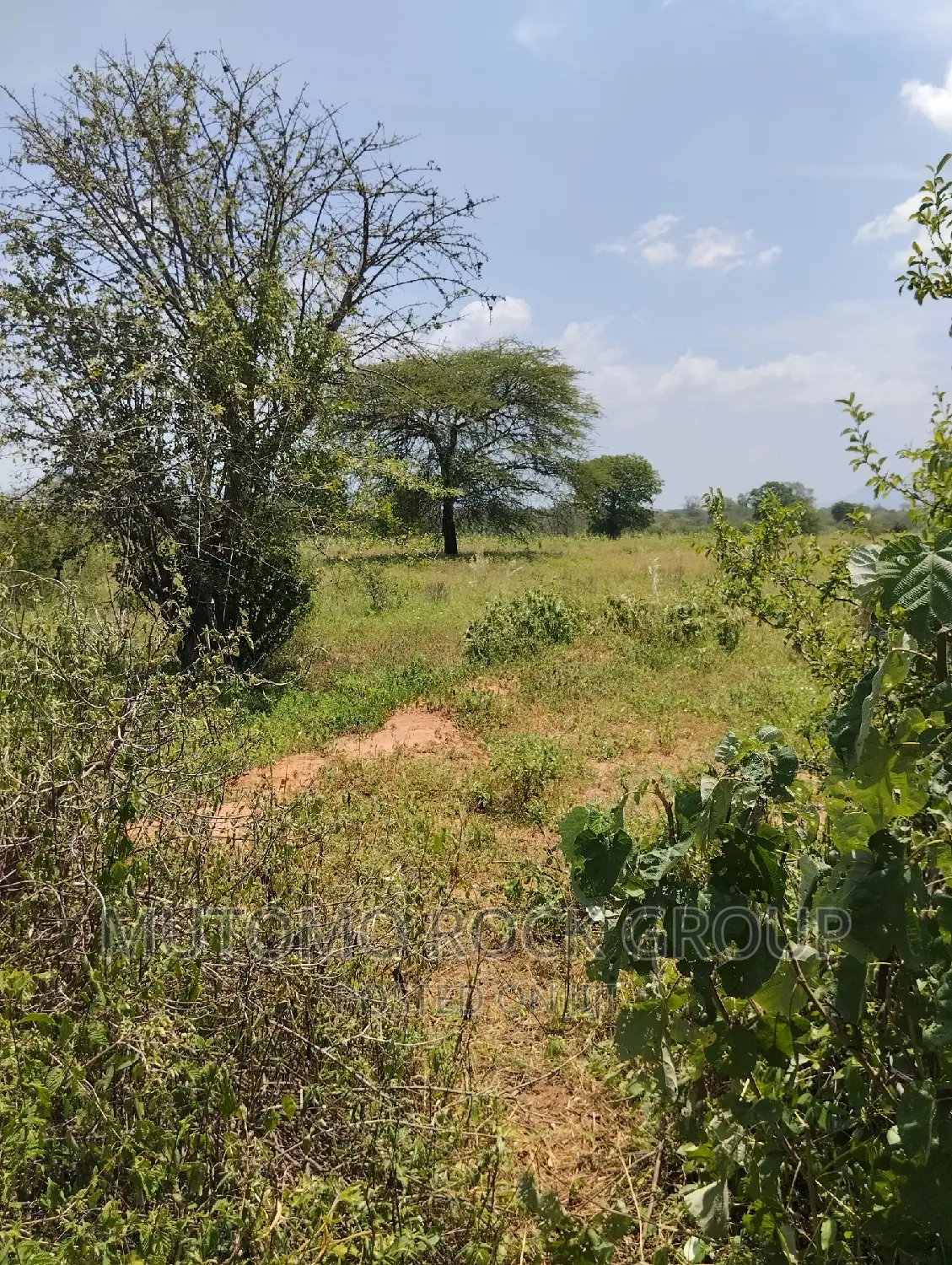 75acres for Sale in Mutomo