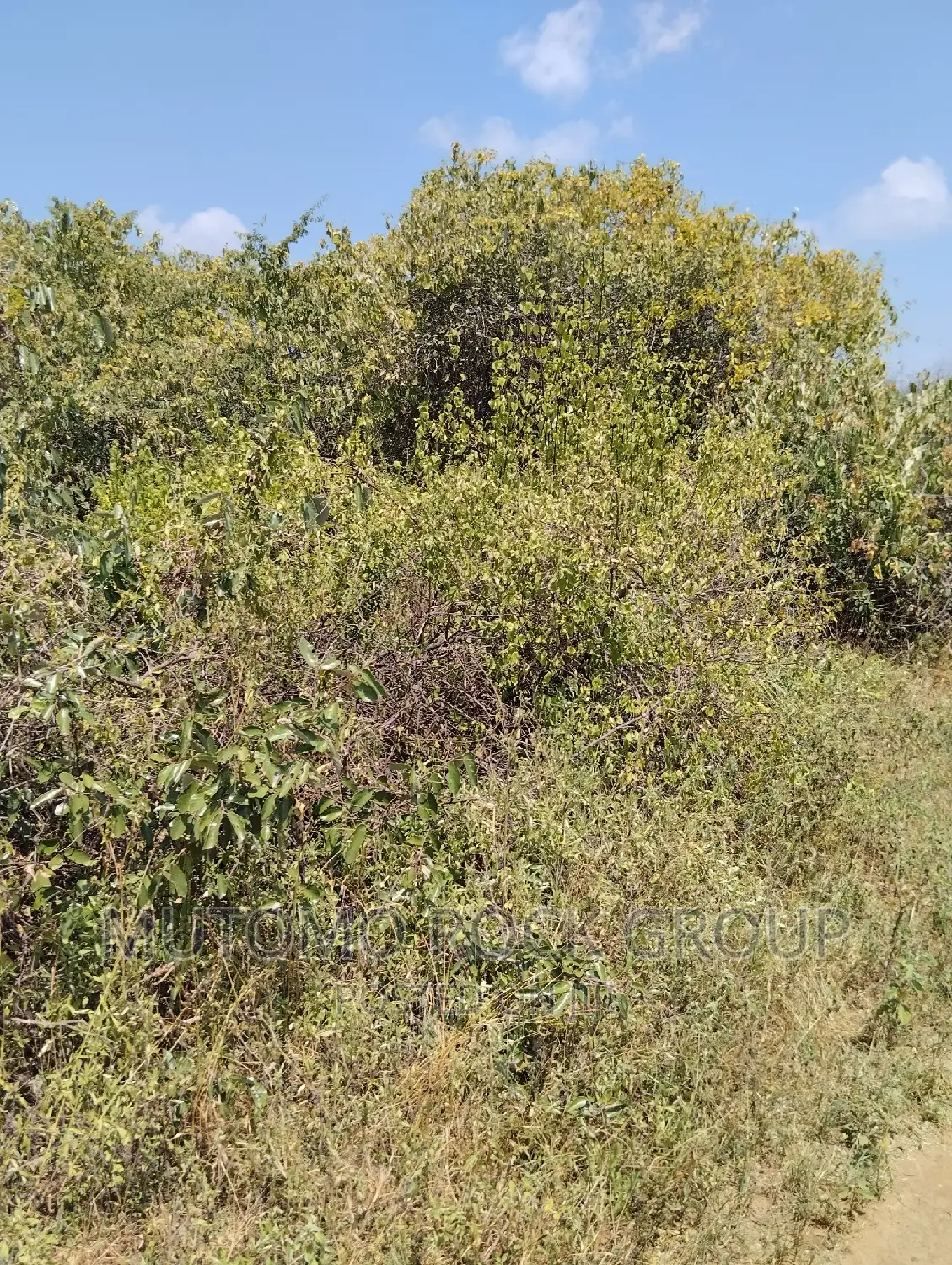36acres for Sale in Mutomo