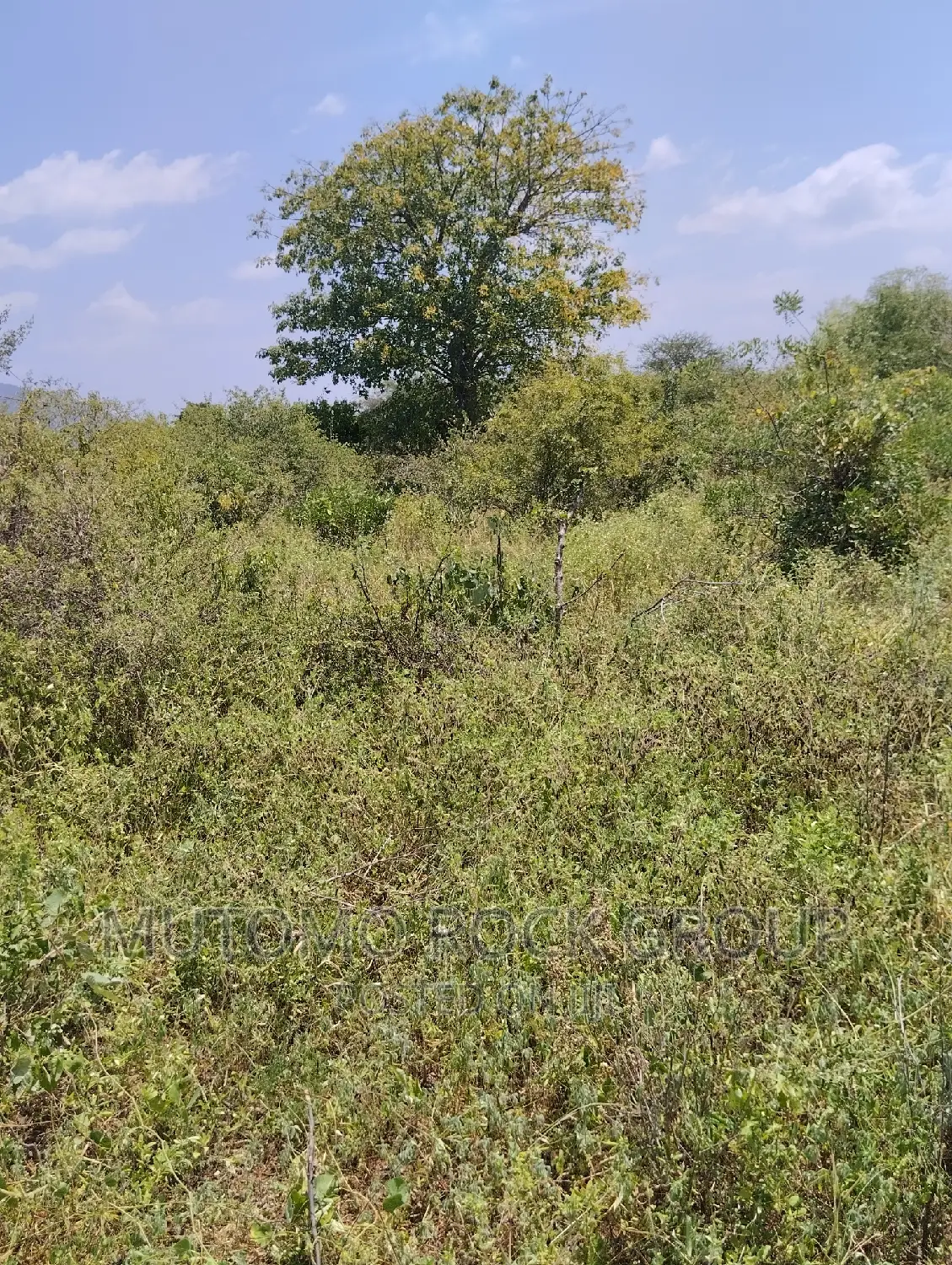 36acres for Sale in Mutomo