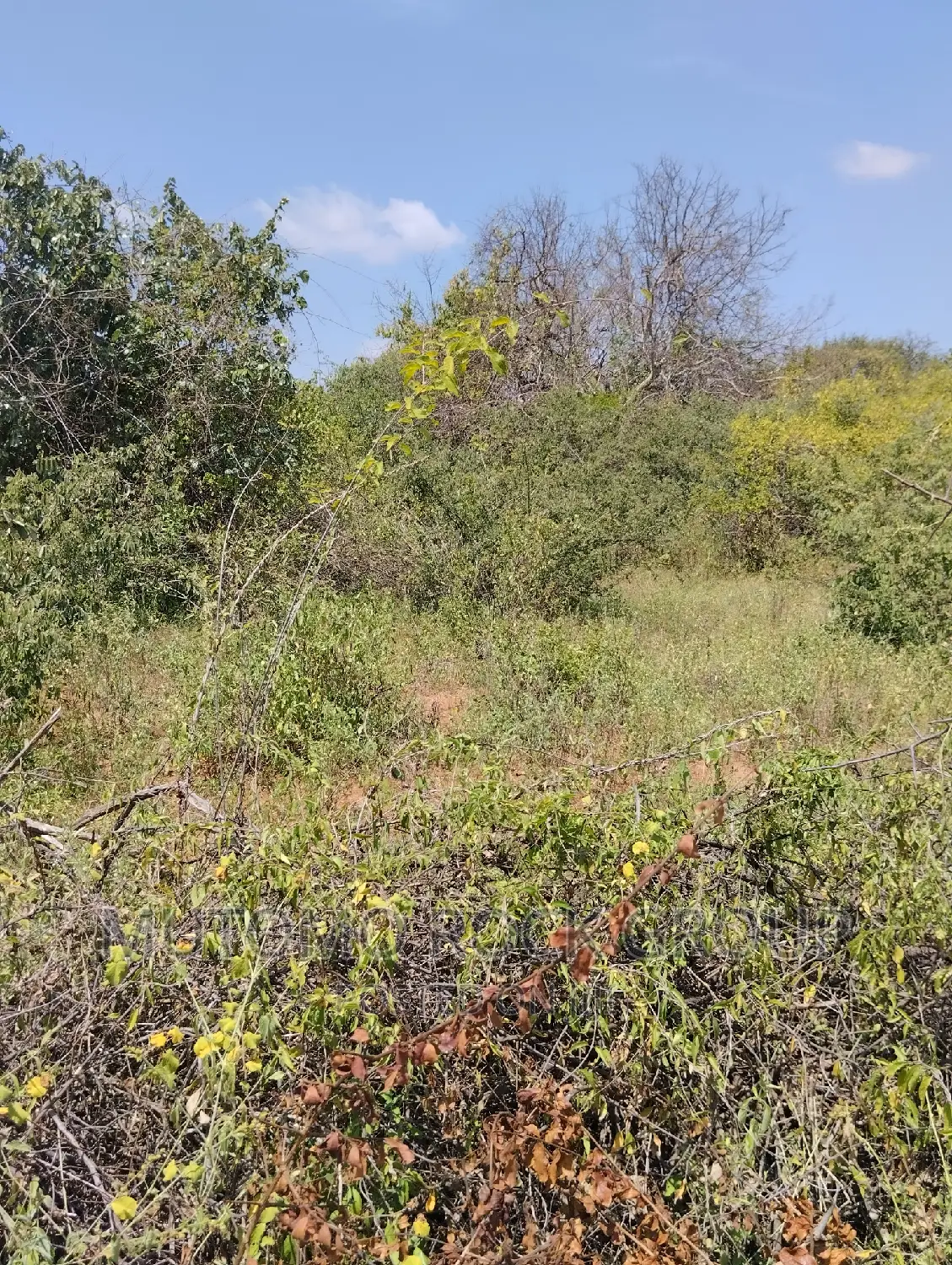 36acres for Sale in Mutomo