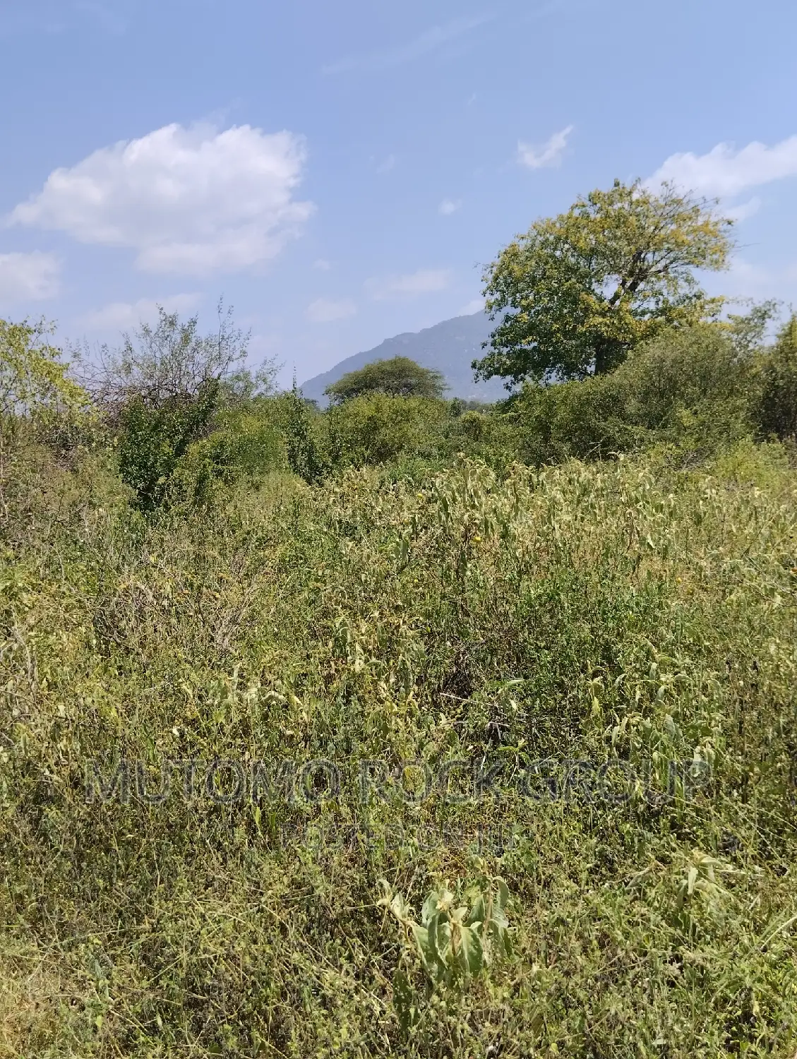 36acres for Sale in Mutomo