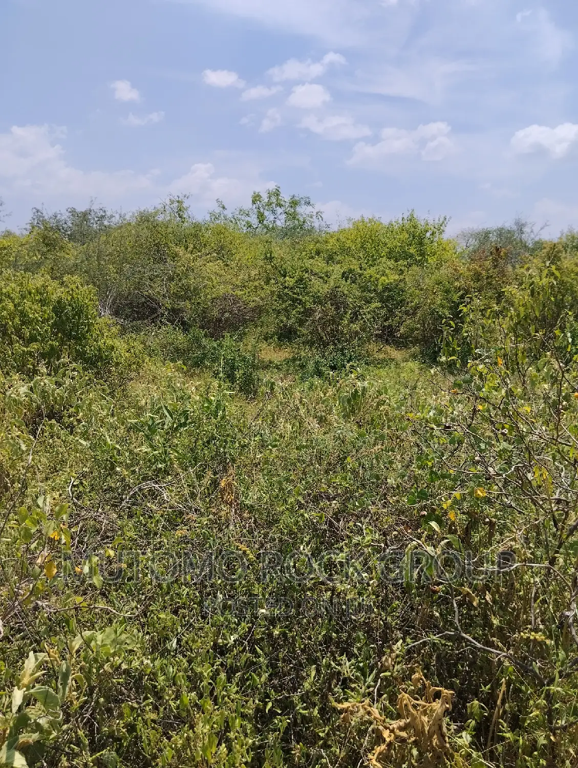 36acres for Sale in Mutomo