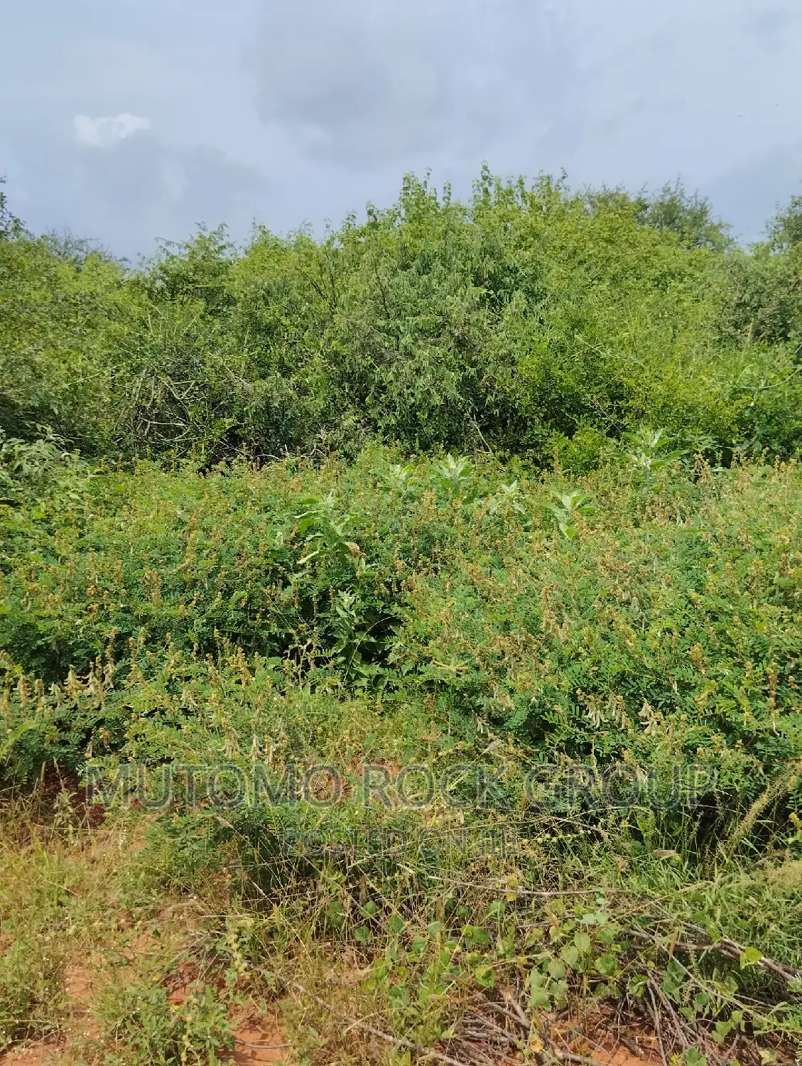 44acres for Sale in Mutomo