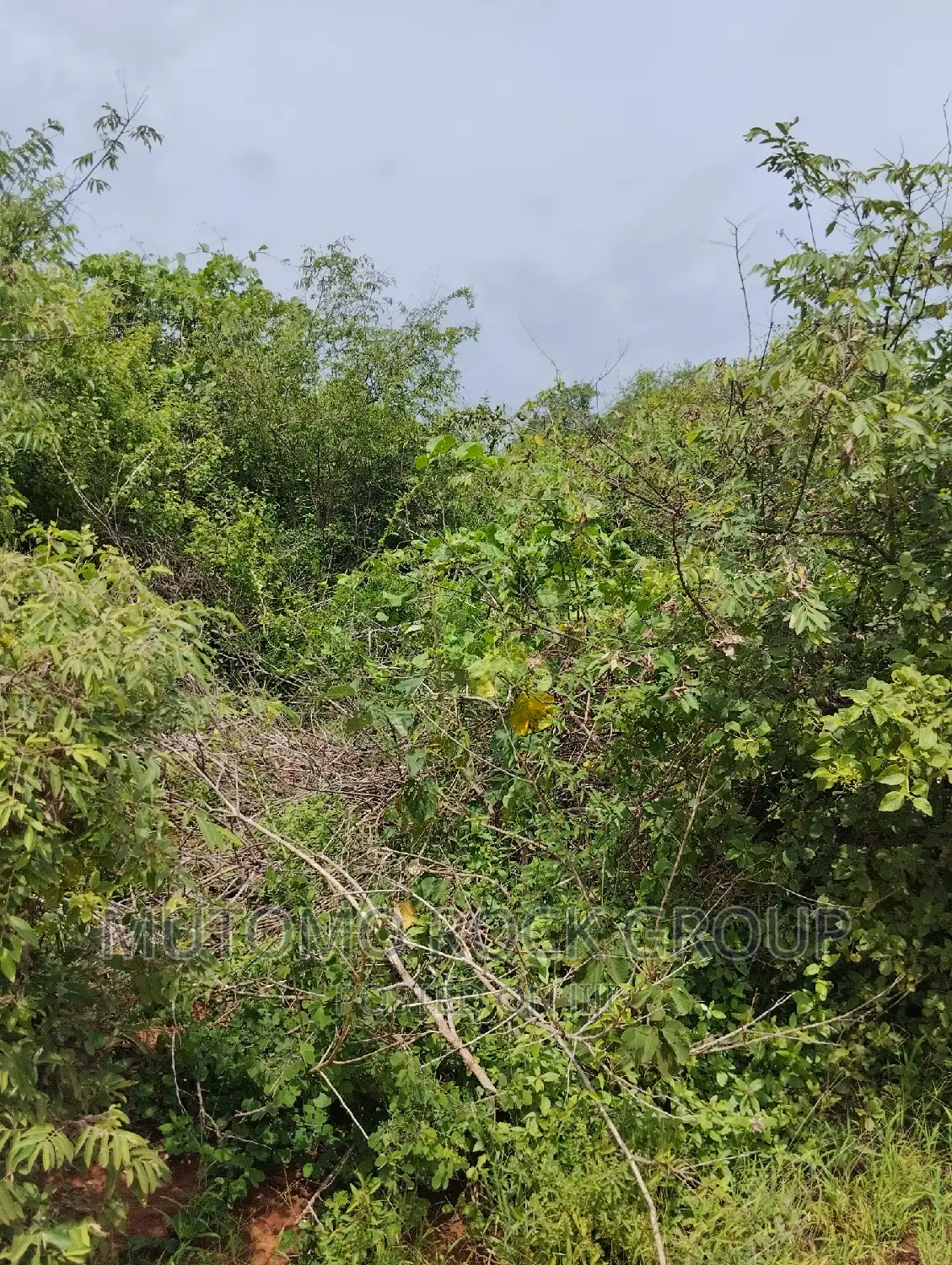 44acres for Sale in Mutomo