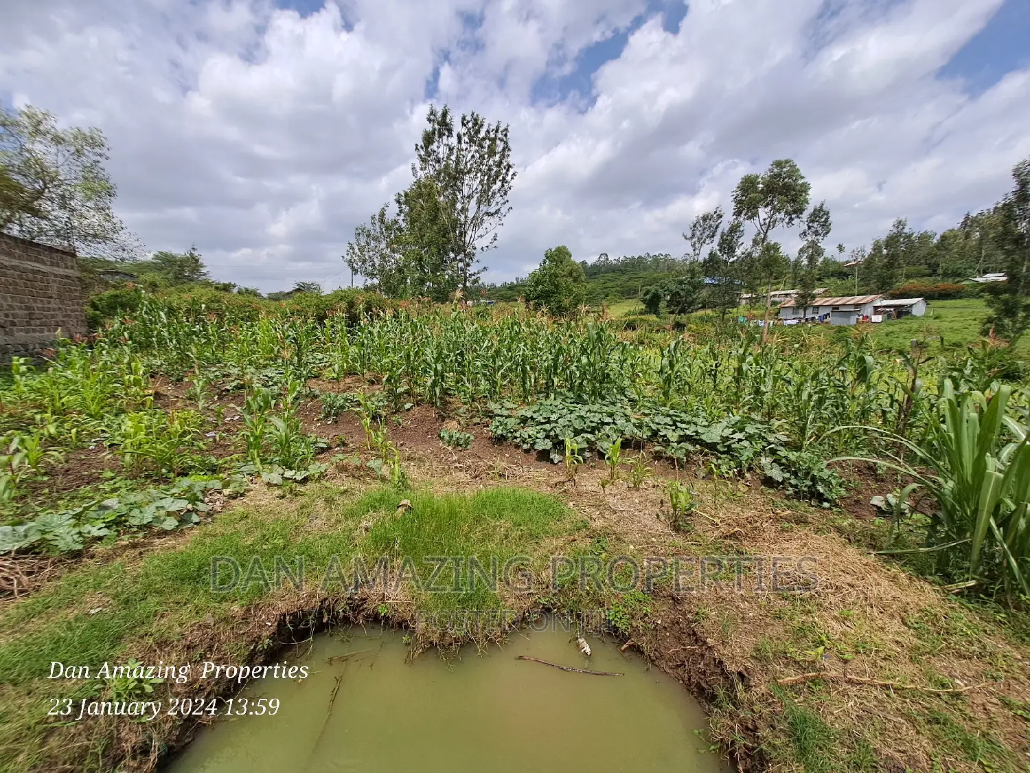 1/4 Acre Land in Ngong Matasia - Perfect for Developing Your Dream Project in Matasia