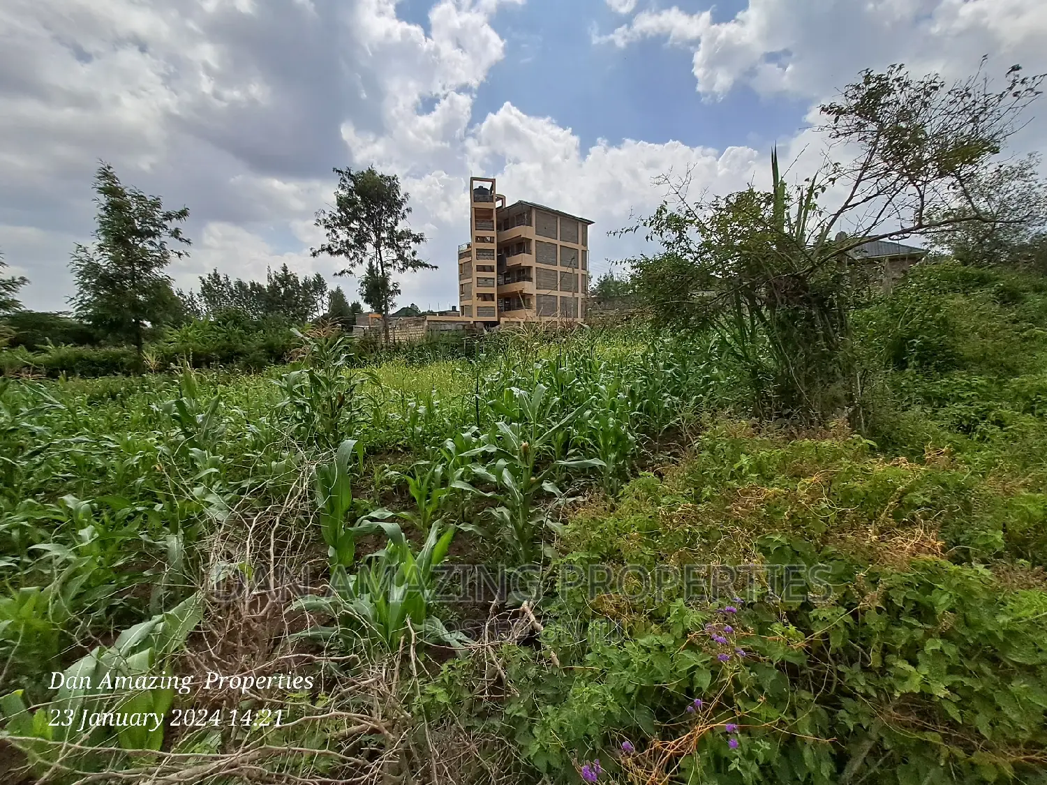 1/4 Acre Land in Ngong Matasia - Perfect for Developing Your Dream Project in Matasia
