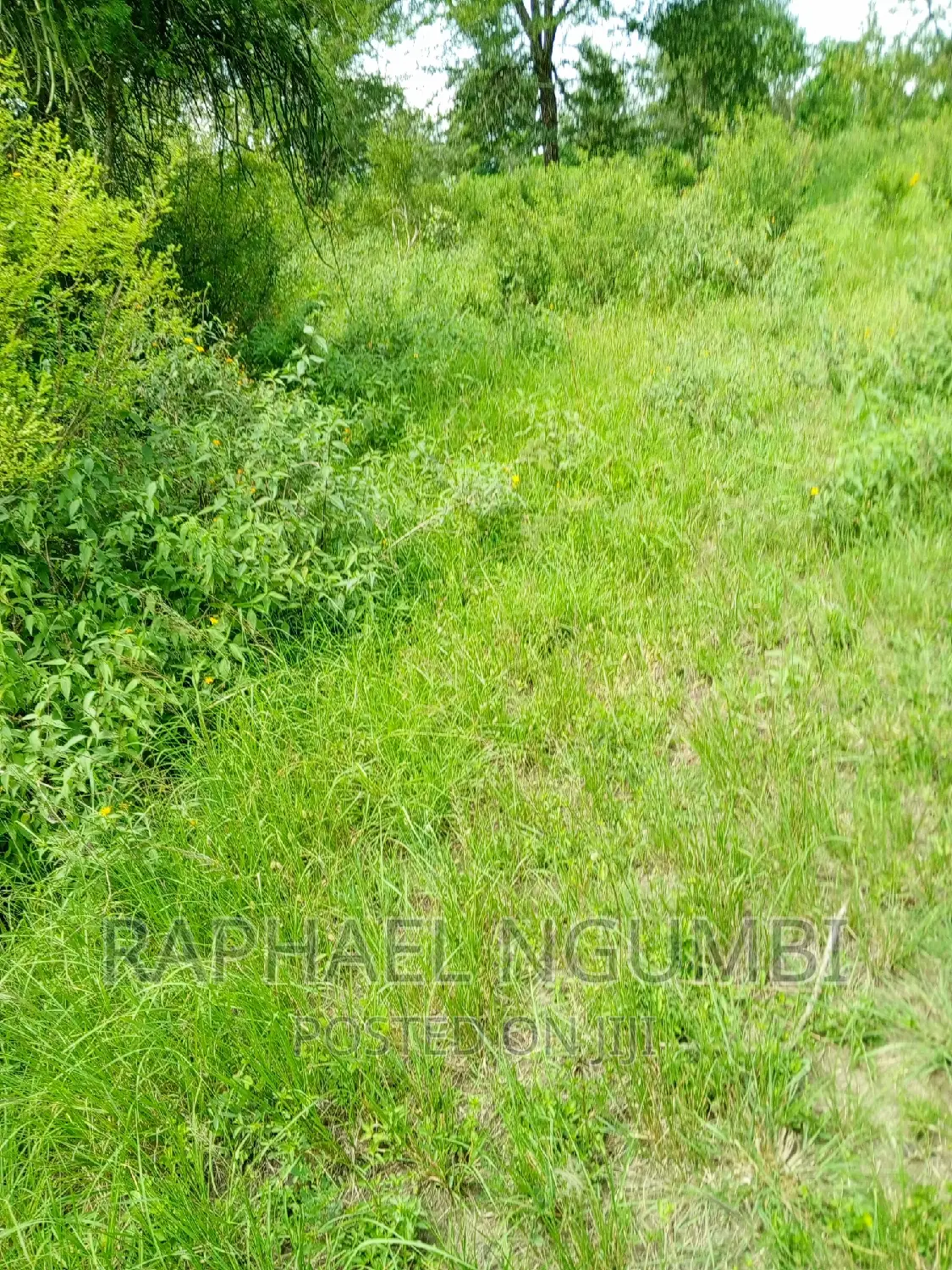 One (1) Acre at Masii - Kitooni in Masii