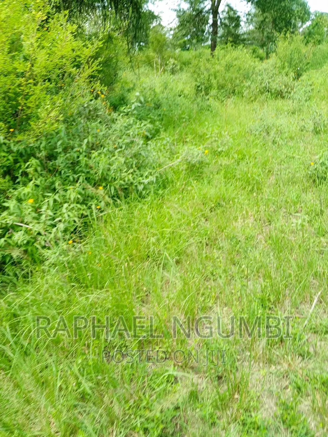 One (1) Acre at Masii - Kitooni in Masii