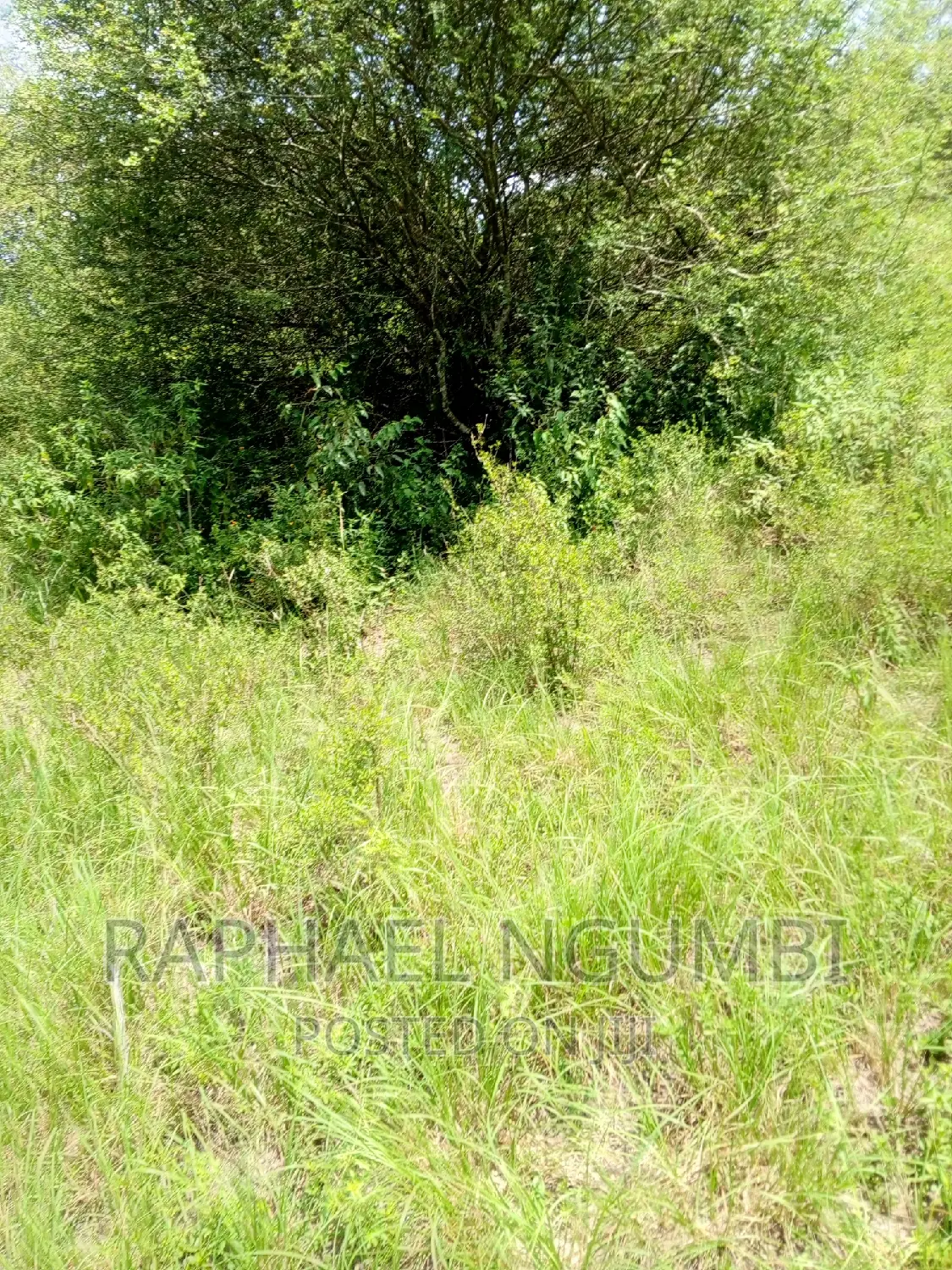 One (1) Acre at Masii - Kitooni in Masii