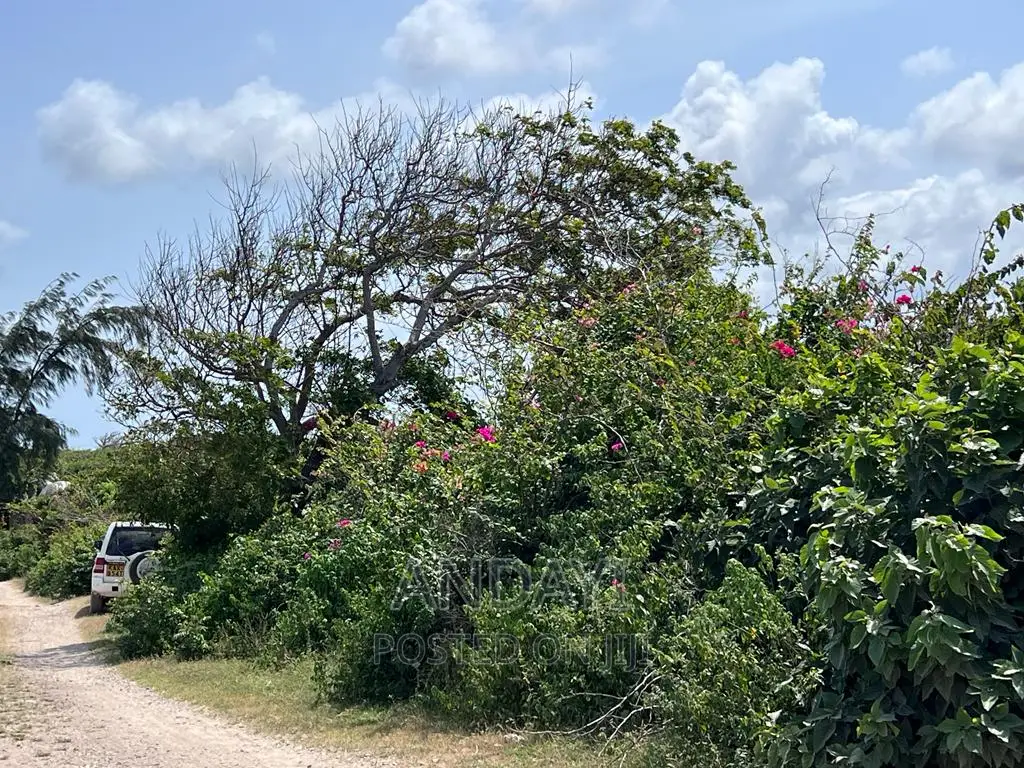 Beach Plots for Sale - Malindi in Malindi