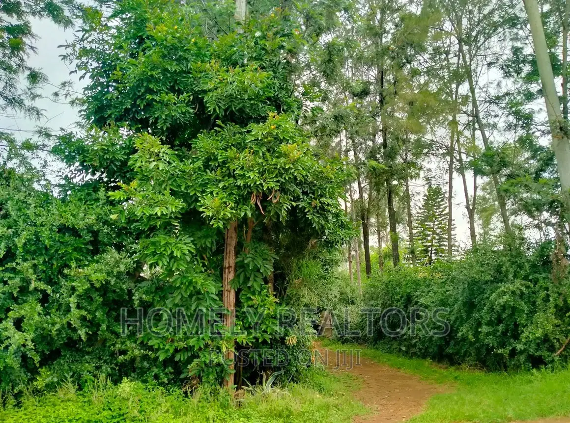 Prime Acre for Sale in Nkoroi, Ongata Rongai Adjacent to Tarmac in Nkoroi