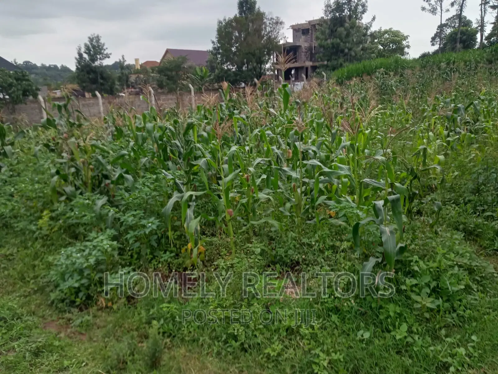 Prime 1/4 Acre Residential Plot in Kerarapon, Ngong - Seize the Opportunity in Kerarapon