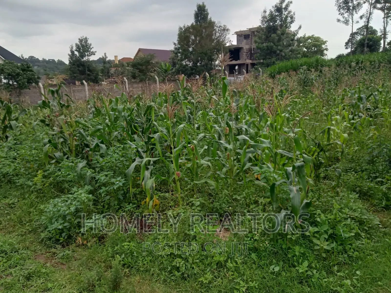 Prime 1/4 Acre Residential Plot in Kerarapon, Ngong - Seize the Opportunity in Kerarapon