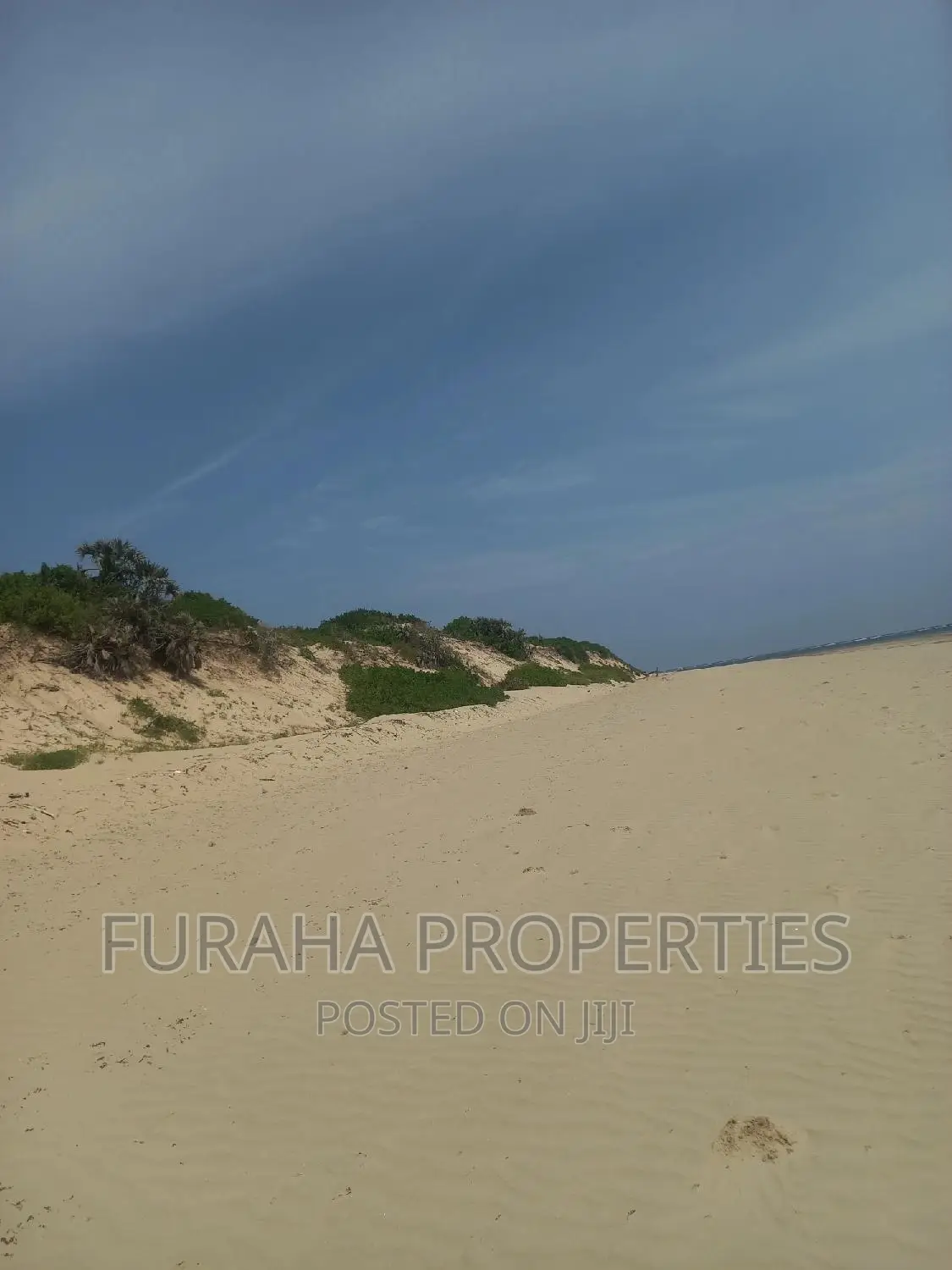 4.5 Acre Beach Property For Sale in Ngomen Malindi in Ngomeni