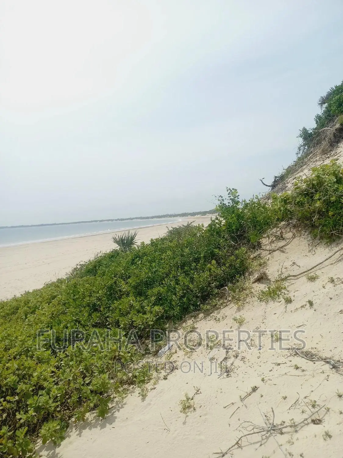 4.5 Acre Beach Property For Sale in Ngomen Malindi in Ngomeni