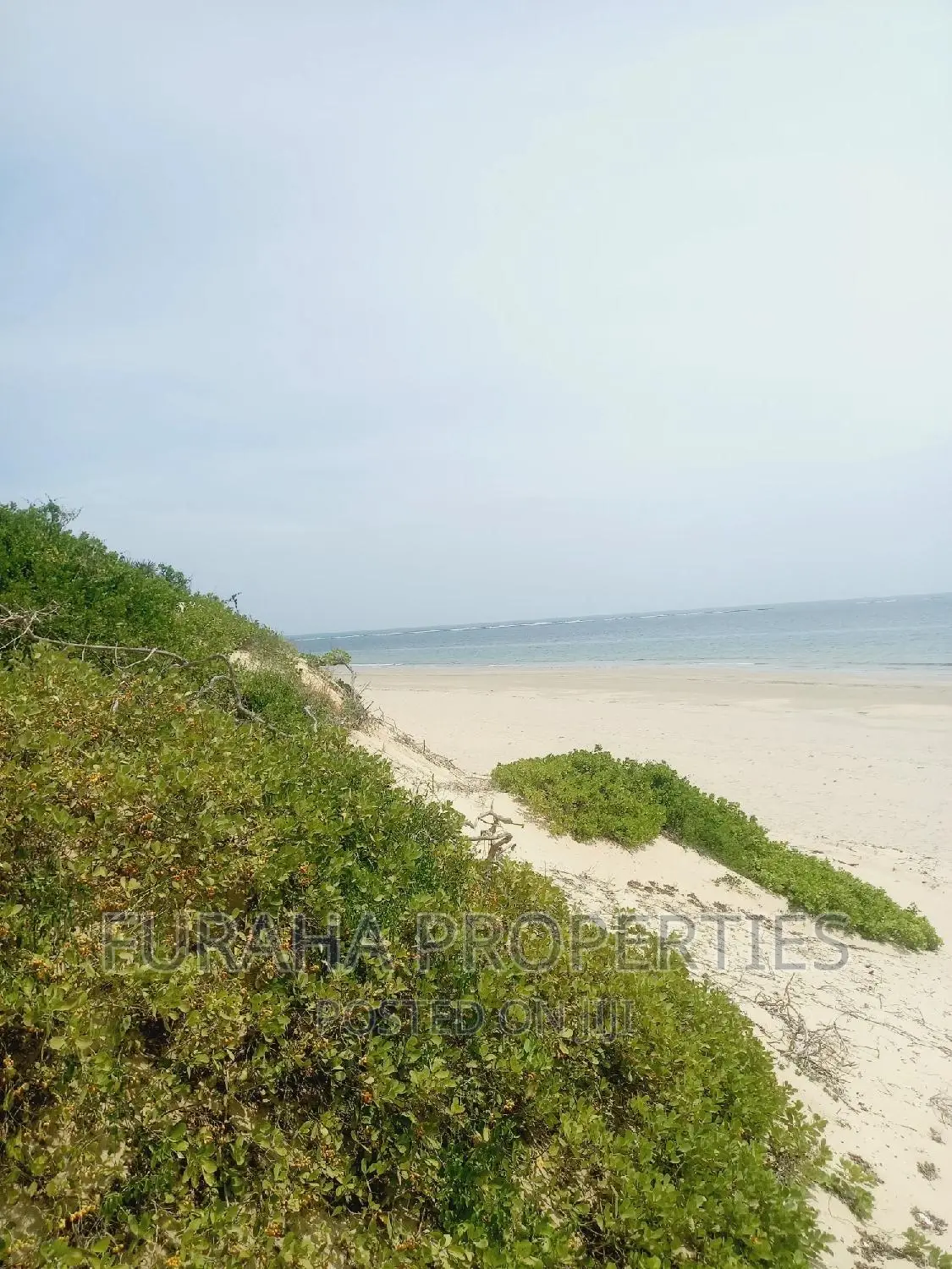 4.5 Acre Beach Property For Sale in Ngomen Malindi in Ngomeni